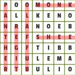 Animals Word Search game