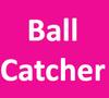 Ball Catcher game