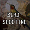 Птица стрелба игра