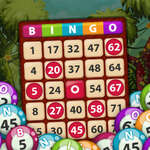 Bingo King Spiel