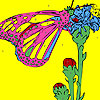 Butterfly on the toes coloring game