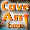Hormiga Escape de la cueva juego