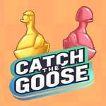 Catch The Goose gioco