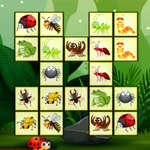 Connect The Insects Spiel