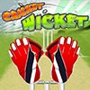 Cricket WIcket Spiel