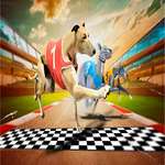 Crazy Dog Racing Game 2020 juego