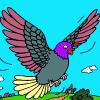 Roztomilé holub sfarbenie hra