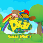 Didi Friends Guess What game