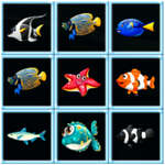 Fish Connections game