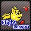 Flug-Lektion Spiel