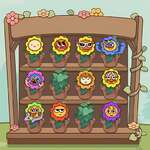 Flower Collection spel