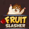 Fruit Slasher game