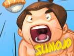 FZ Sumo Savaşı oyunu