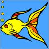 Zlatá rybka sfarbenie hra