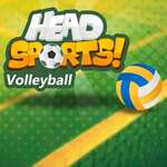 Head Sports Volleyball Spiel