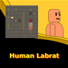 Menselijke Labrat spel
