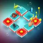 Insect Exploration game