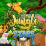 Jungal Hidden Stars game