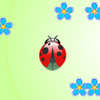 Lieveheersbeestje en bloemen spel