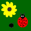 Ladybug - TPC game