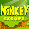 Escape del mono juego
