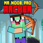 De heer Noob Pro Archer spel