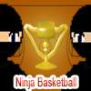 Нинджа баскетбол игра