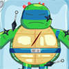 Ninja Turtle arts spel