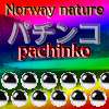 Noorwegen natuur pachinko spel