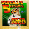 Oddballs Escape 5 Back to the Shelter game
