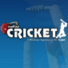 Online krikett játék