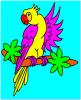 papagáj színező játék