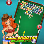 Pool Shooter Biljartbal spel