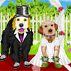 Welpe Hund Hochzeit Spiel