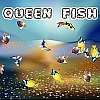 Kráľovná rýb hra