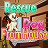 Rescue Dog from House game