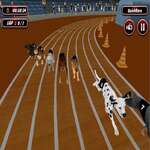 Real Dog Racing Simulator Spel 2020