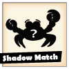 Shadow Match game