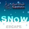 Schnee-Flucht Spiel