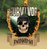 Survivor Panama game