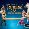 Tangled - Spot the Numbers game
