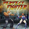 The Perfect Fighter 1 0 game