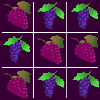 Tic Tac Toe Grape game