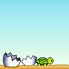 Schildpad uitvoeren spel