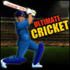 Ultimate Cricket game
