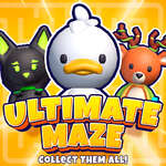 Ultimate maze Collect them all game