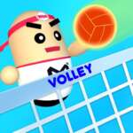 Volley Bonen 3D spel