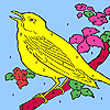 Yellow hungry canary coloring game