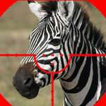 Zebra hunter game
